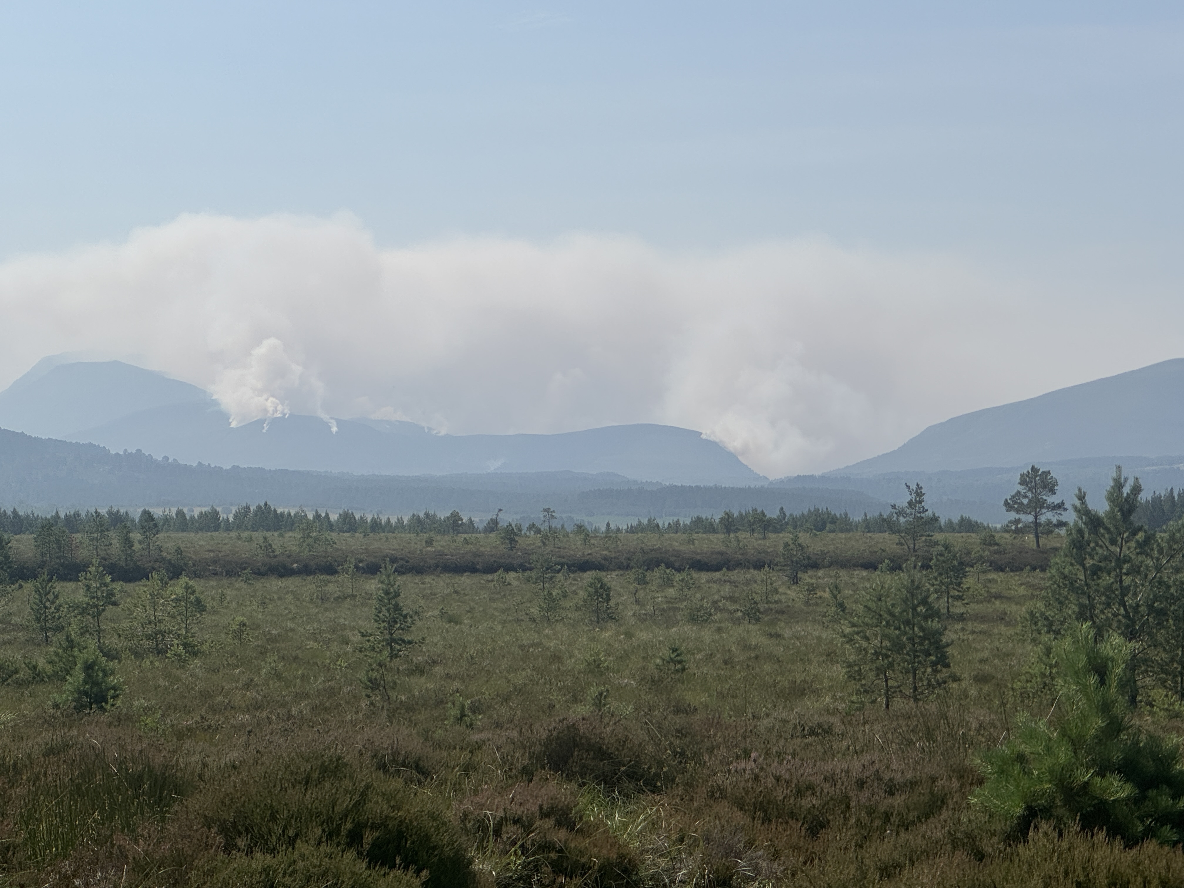Wildfire in the Cairngorms that broke out on June 15, 2026.