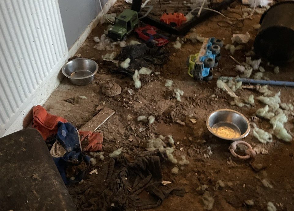 The dog bowls were empty of food and water.