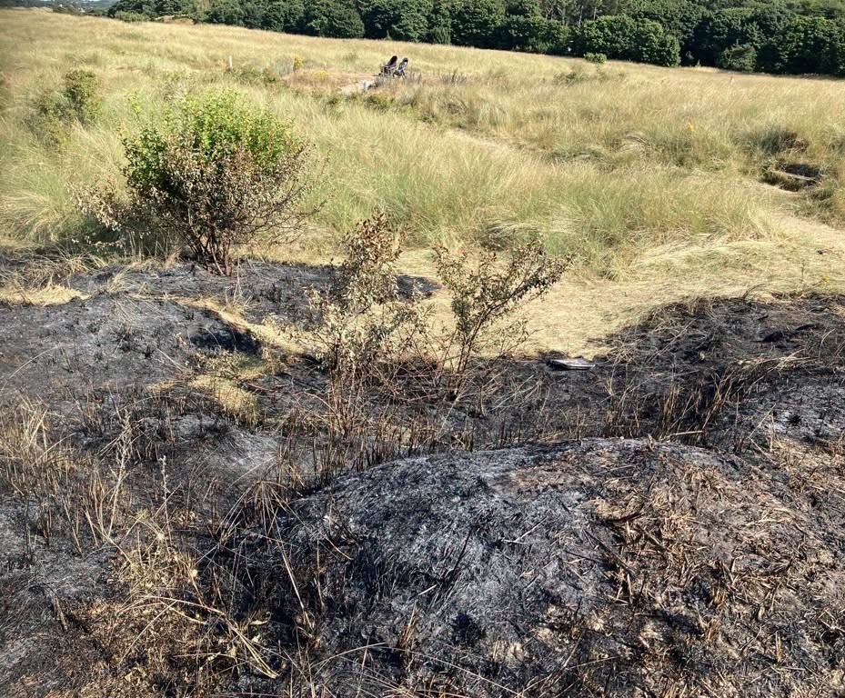 The fire caused significant damage to the area.