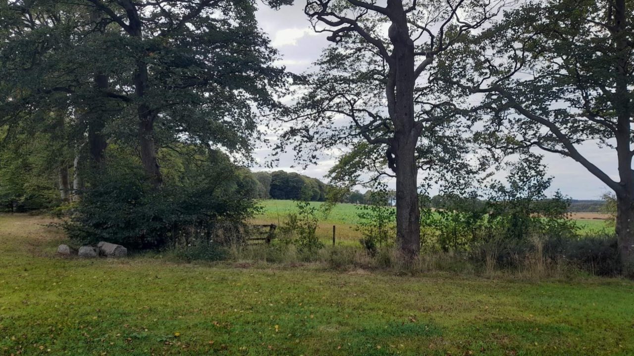 Plans for West Lothian solar farm stretching nearly 200 acres to go before councillors