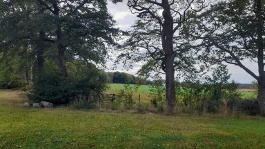 Plans for West Lothian solar farm stretching nearly 200 acres to go before councillors