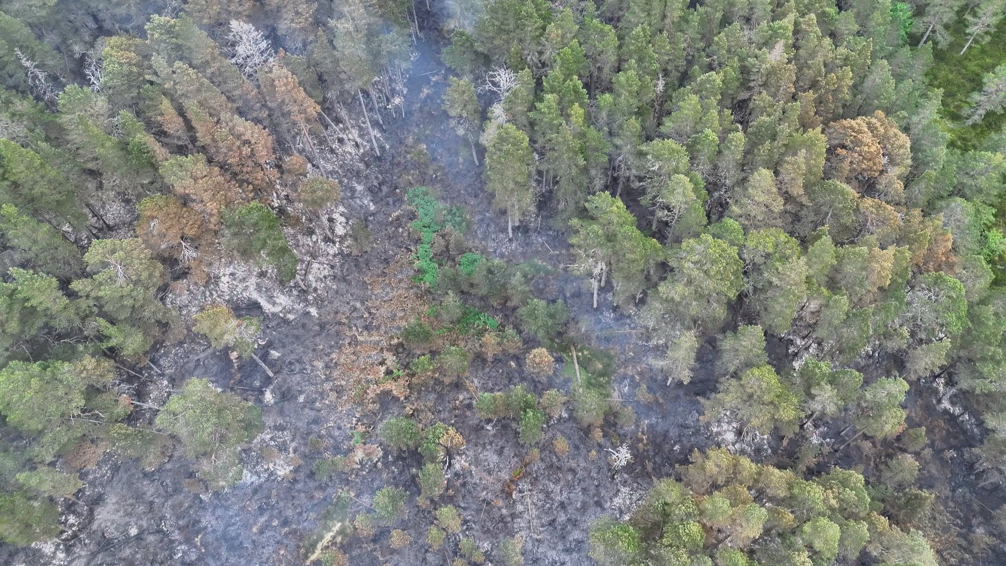 Emergency services are urging walkers, visitors and members of the public to stay away from areas affected by the ongoing wildfire incident in the Cairngorms National Park as firefighting operations continue throughout the weekend and into next week.