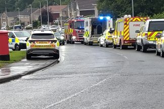Man rescued and taken to hospital after falling down gully in Hamilton