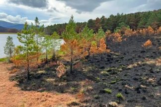 Site of Cairngorms wildfire could take ‘centuries’ to recover, says village chair