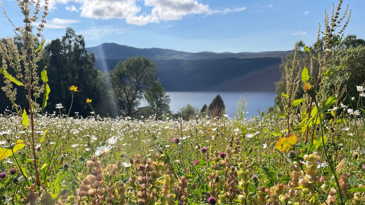 Highland communities invited to apply for government nature restoration grant