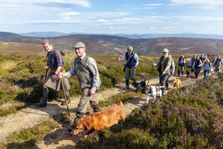 Grouse shooting provides major boon to Scottish economy – but should it be allowed?