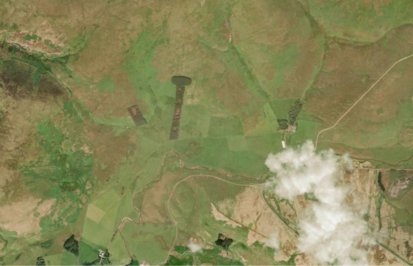 Treenis woods seen by satellite.