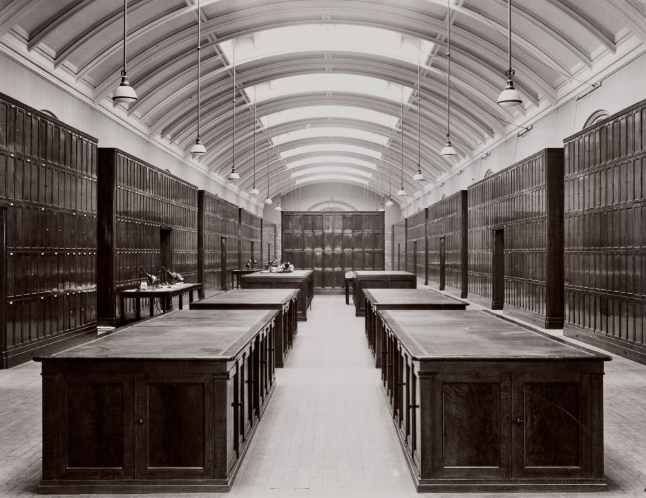 Natural History Museum to reopen hidden gallery closed since Second World War