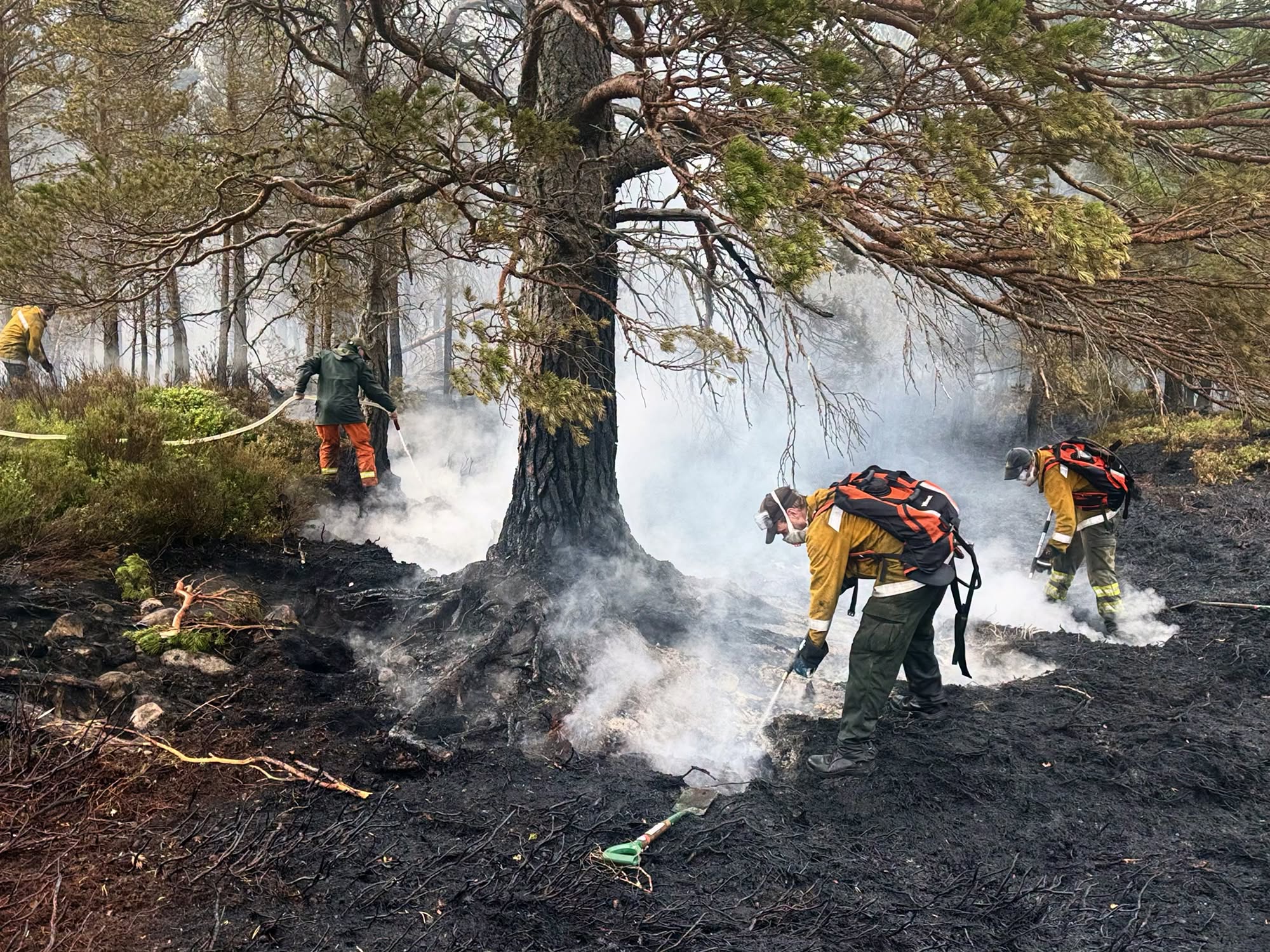Cairngorms wildfire