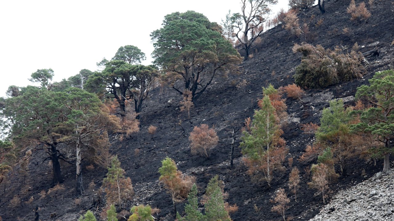 Plans for staged re-opening of wildfire cordons being finalised