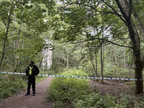 Girl, 11, found dead in water in Gore Glen woodland park