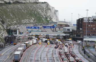 Politicians condemn anti-illegal migrant protests which blocked Port of Dover