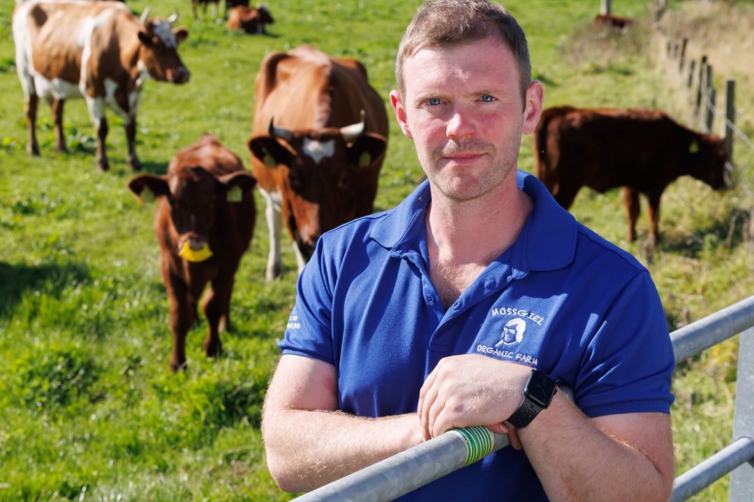 England and Wales look to Scotland as drought puts pressure on milk supplies