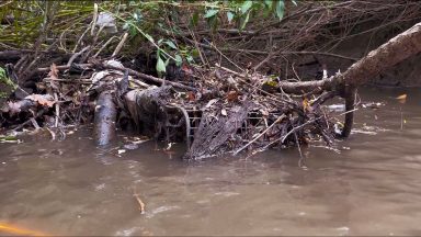 Hundreds of trolleys pulled from Brockburn River by volunteer on 100-day clean up mission